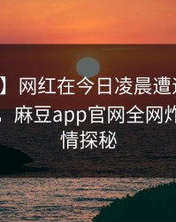 【独家】网红在今日凌晨遭遇八卦真相大白，麻豆app官网全网炸锅，详情探秘