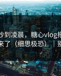 她突然吵到凌晨，糖心vlog把全过程拍下来了（细思极恐）｜别学我