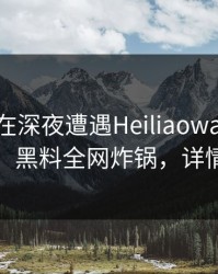 圈内人在深夜遭遇Heiliaowang惊艳全场，黑料全网炸锅，详情查看