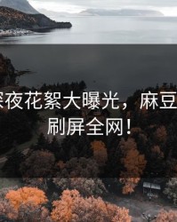 主持人深夜花絮大曝光，麻豆APP官网刷屏全网！