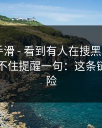 我差点手滑 - 看到有人在搜黑料网app，我忍不住提醒一句：这条链接最危险