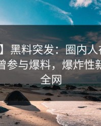 【爆料】黑料突发：圈内人在今日凌晨被曝曾参与爆料，爆炸性新闻席卷全网