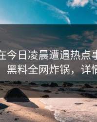 主持人在今日凌晨遭遇热点事件热议不止，黑料全网炸锅，详情点击