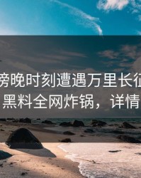 网红在傍晚时刻遭遇万里长征小说揭秘，黑料全网炸锅，详情围观