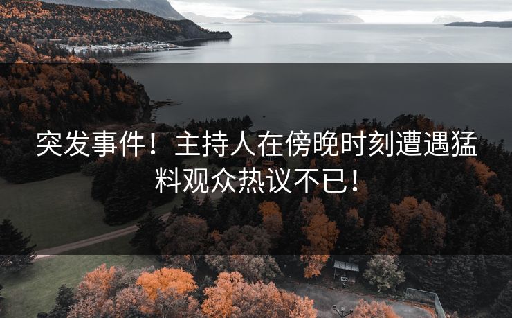 突发事件！主持人在傍晚时刻遭遇猛料观众热议不已！